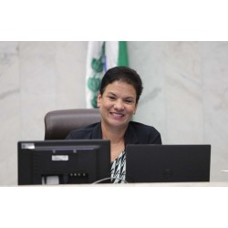 A deputada Marli propõe Semana Estadual do Artesanato no Paraná através de Projeto de Lei na Alep